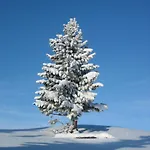 Edelweiss 3*